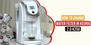 How To Change Water Filter In Keurig 2.0 K250 | Shouldn't You Know ...