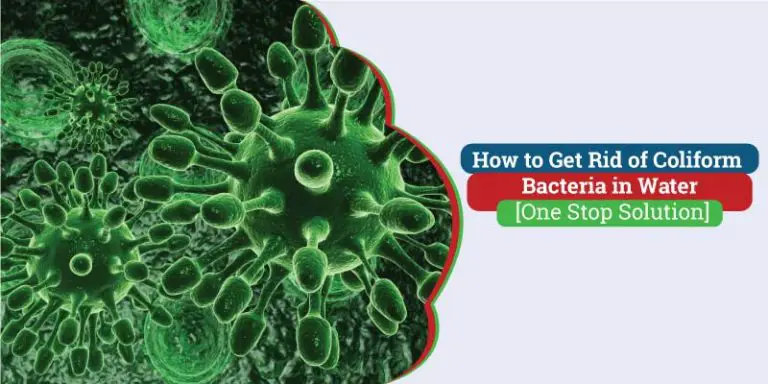 How-to-get-rid-of-coliform-bacteria-in-water
