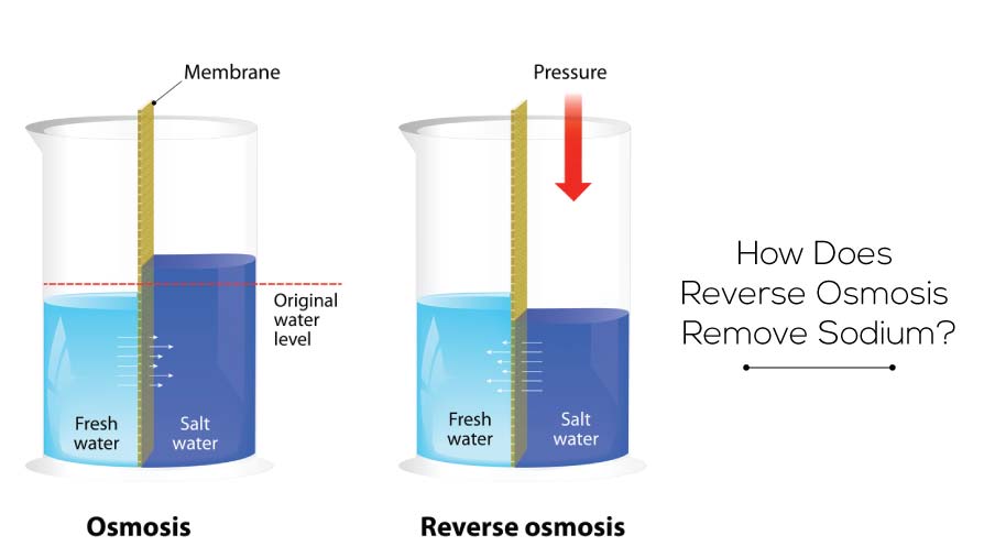 How-Does-Reverse-Osmosis-Remove-Sodium.jpg