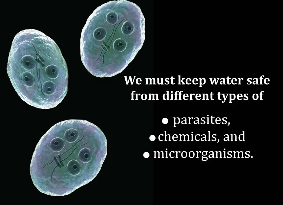 Why-do-We-Need-to-Remove-Giardia-and-Cryptosporidium-from-Water.jpg
